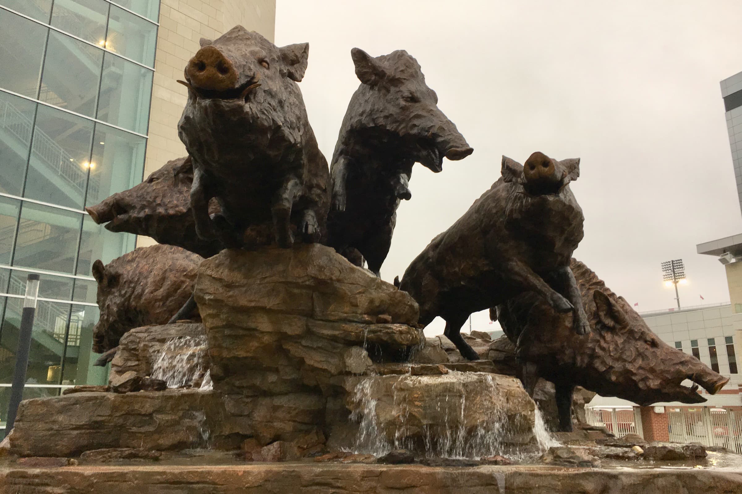 Razorback fountain in Fayetteville near campus gathering places